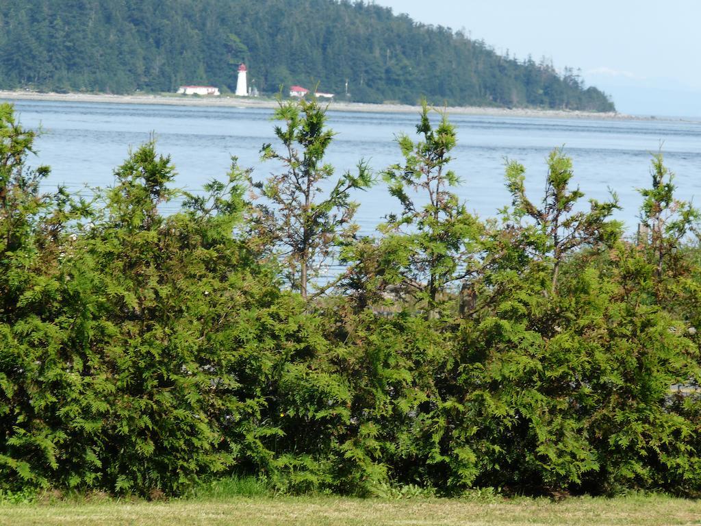 Driftwood By The Sea Inn Campbell River Exterior photo
